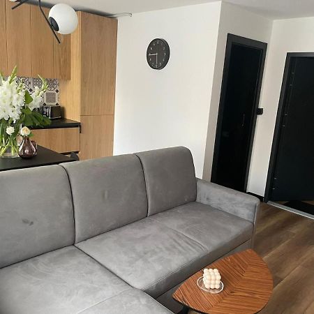 Apartamenty Nadrzeczna 14 카르파츠 외부 사진