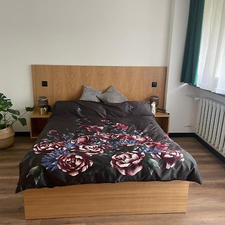 Apartamenty Nadrzeczna 14 카르파츠 외부 사진