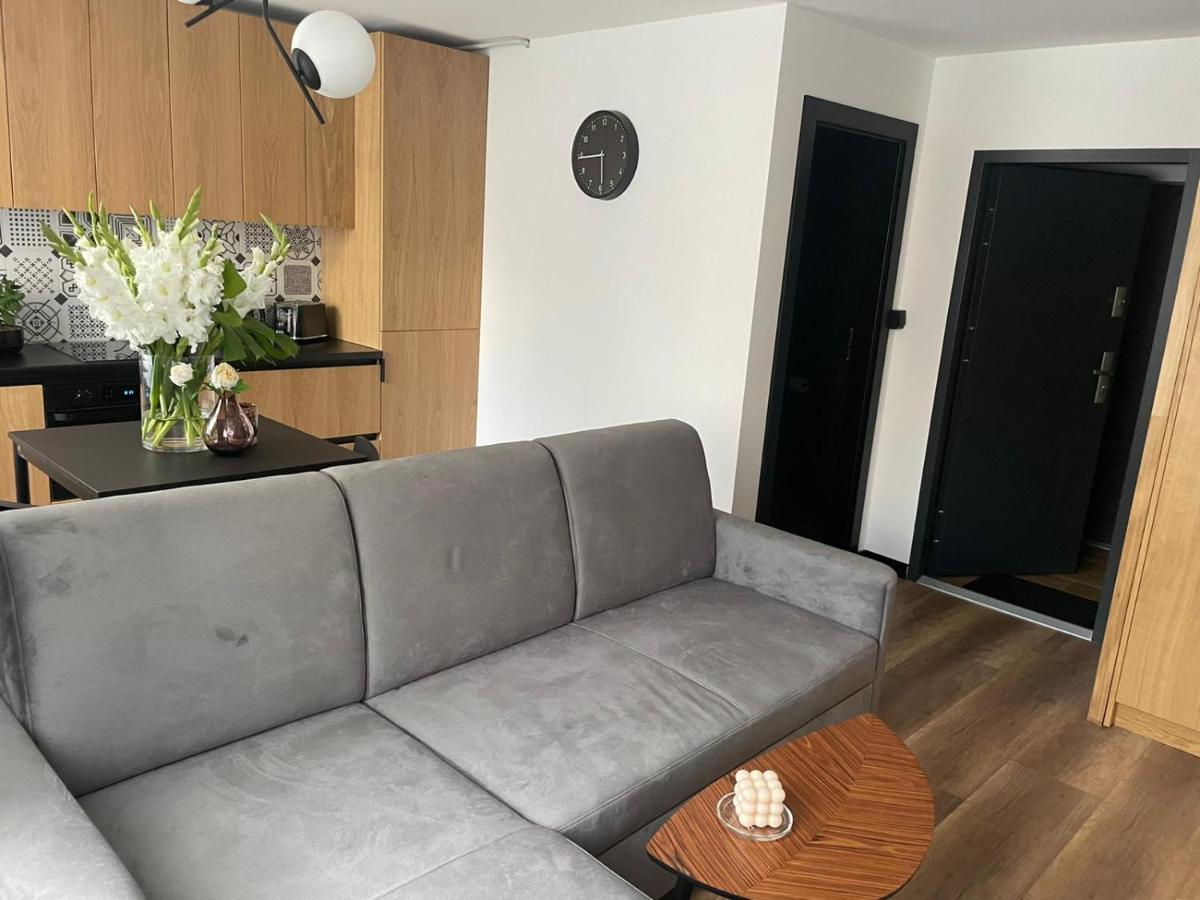 Apartamenty Nadrzeczna 14 카르파츠 외부 사진