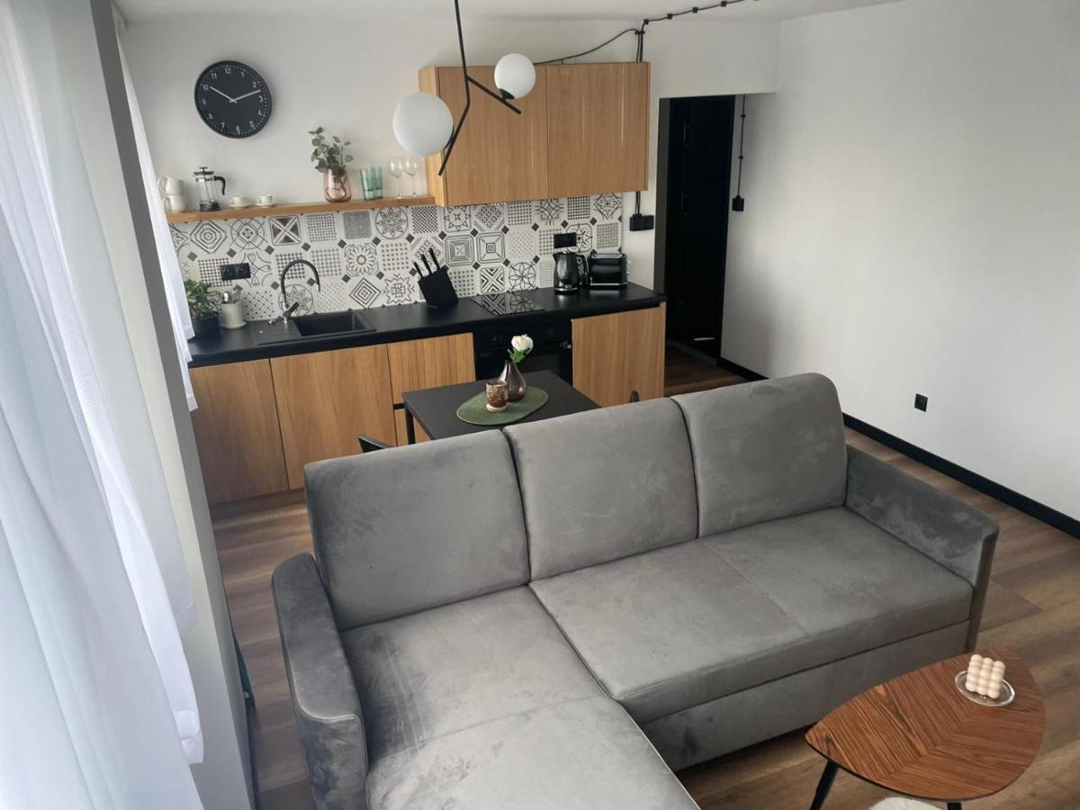 Apartamenty Nadrzeczna 14 카르파츠 외부 사진