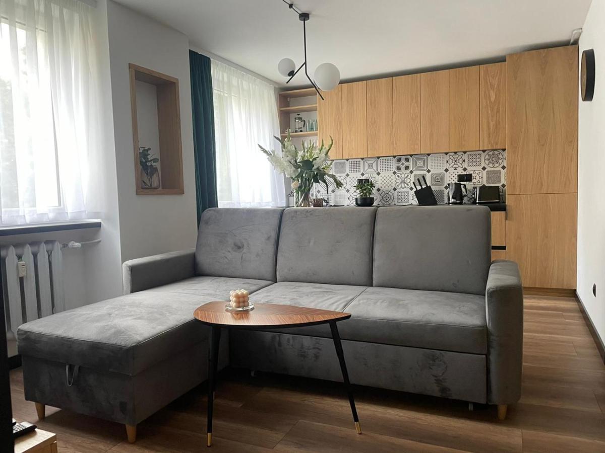 Apartamenty Nadrzeczna 14 카르파츠 외부 사진