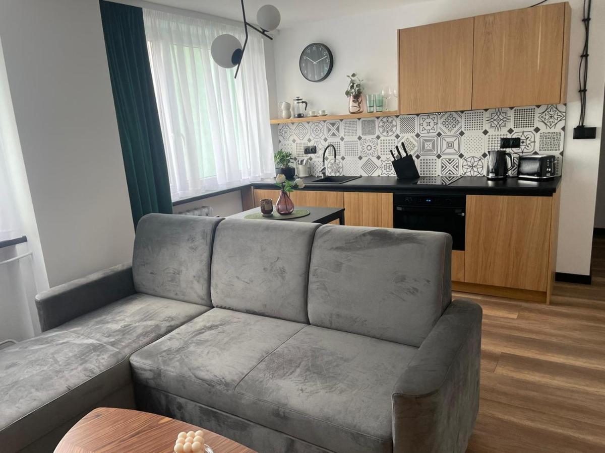 Apartamenty Nadrzeczna 14 카르파츠 외부 사진