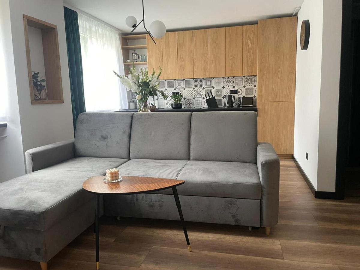 Apartamenty Nadrzeczna 14 카르파츠 외부 사진